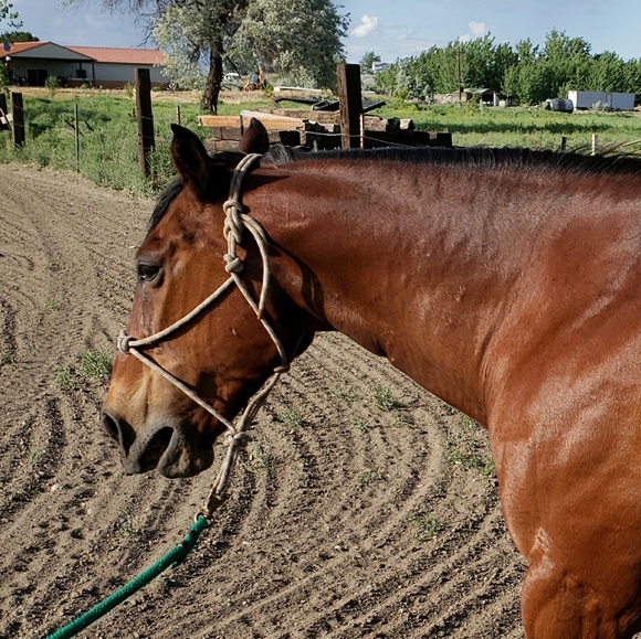 Meet your Posher, Elaine - Picture 3 of 3